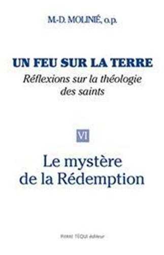 Un feu sur la terre, réflexions sur la théologie des saints (Tome 6)