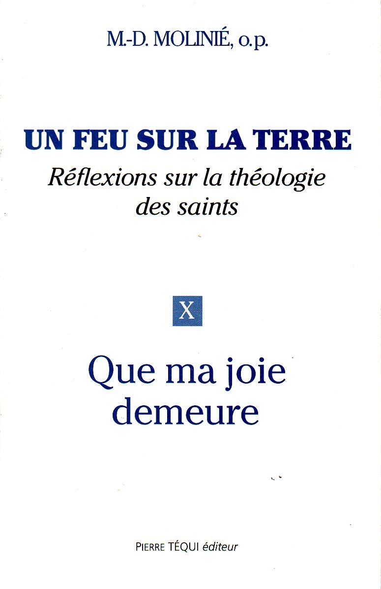 Un feu sur la terre, réflexions sur la théologie des saints (Tome 10)