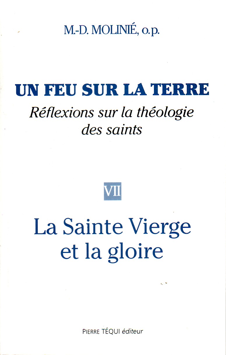 Un feu sur la terre, réflexions sur la théologie des saints (Tome 7)